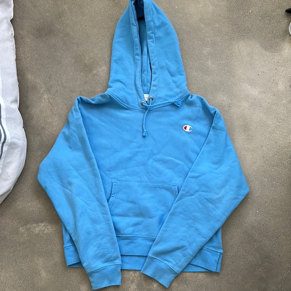 Champion cropped hoodie